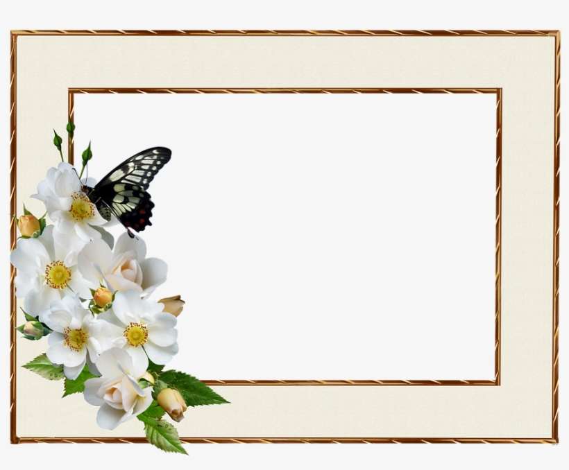 Frame, Border, White Rose, Butterfly, Decorative - Anniversary Quotes For Brother And Sister, transparent png download