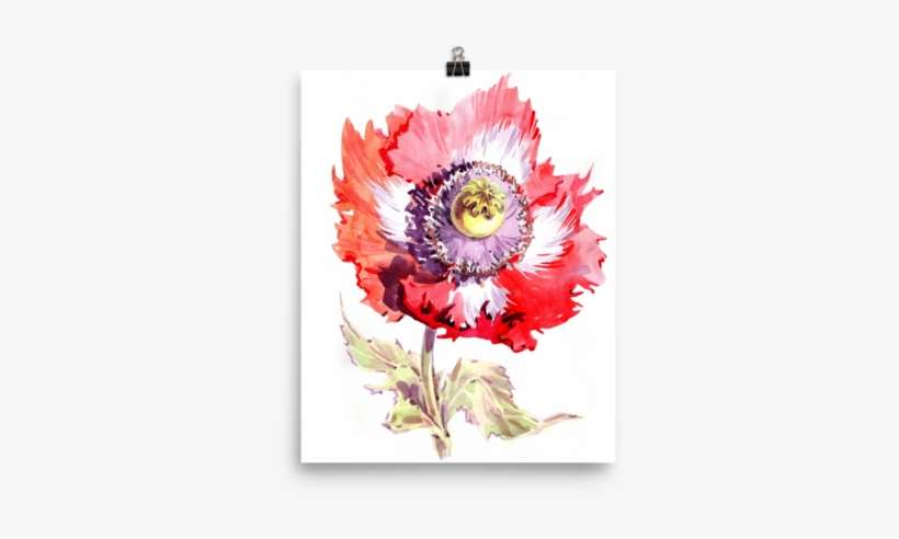 Poppy Botanical Watercolor Illustration Wall Art - Watercolor Painting, transparent png download