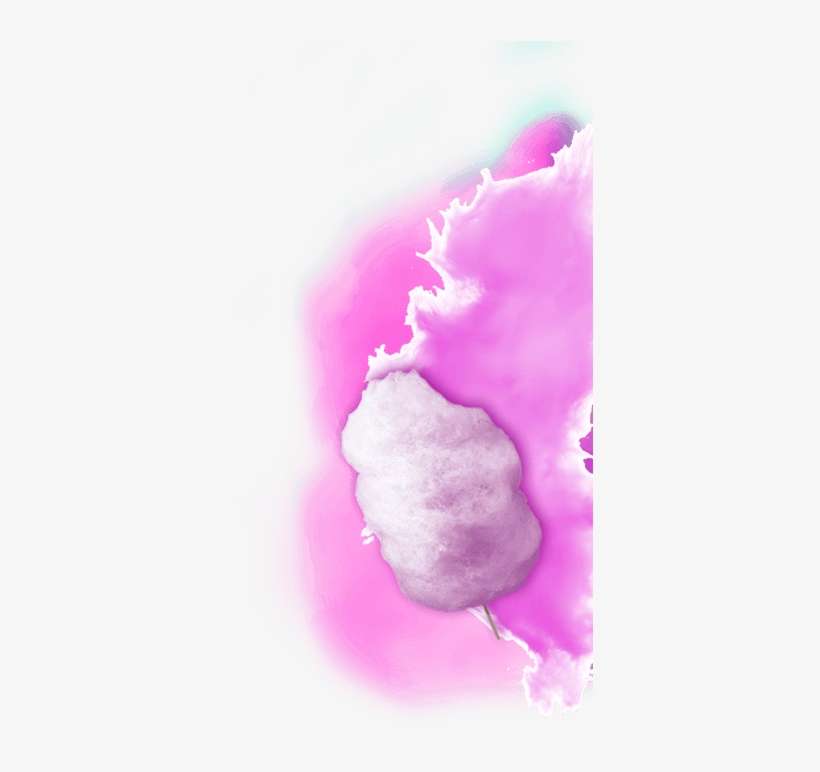 357 Cost - Rose, transparent png download