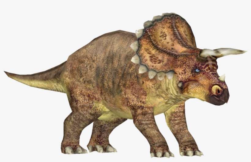 Triceratops - Zoo Tycoon 2, transparent png download