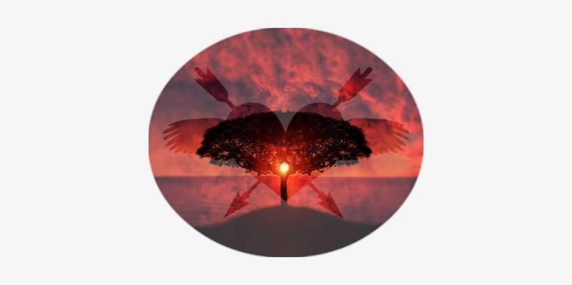 Beautiful-sunset - Indian Elephant, transparent png download