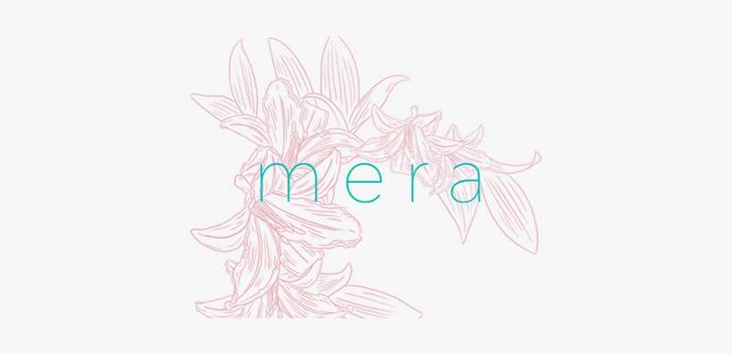X Mera - Sketch, transparent png download