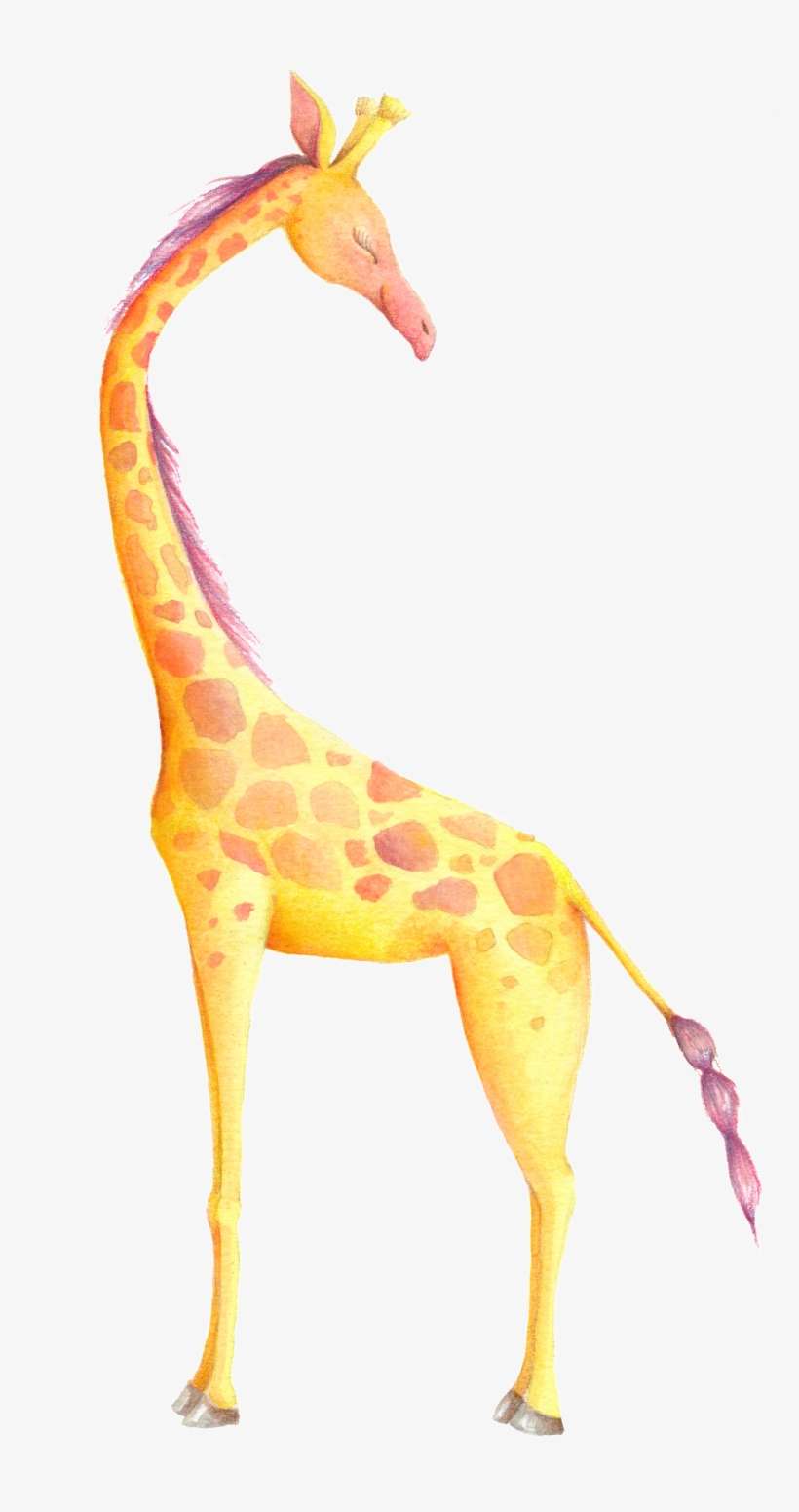 Zoo Giraffe Cartoon Transparent - Happy Fathers Day Giraffe, transparent png download