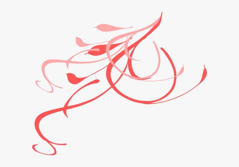 Design Clipart Coral - Vine Clip Art, transparent png download