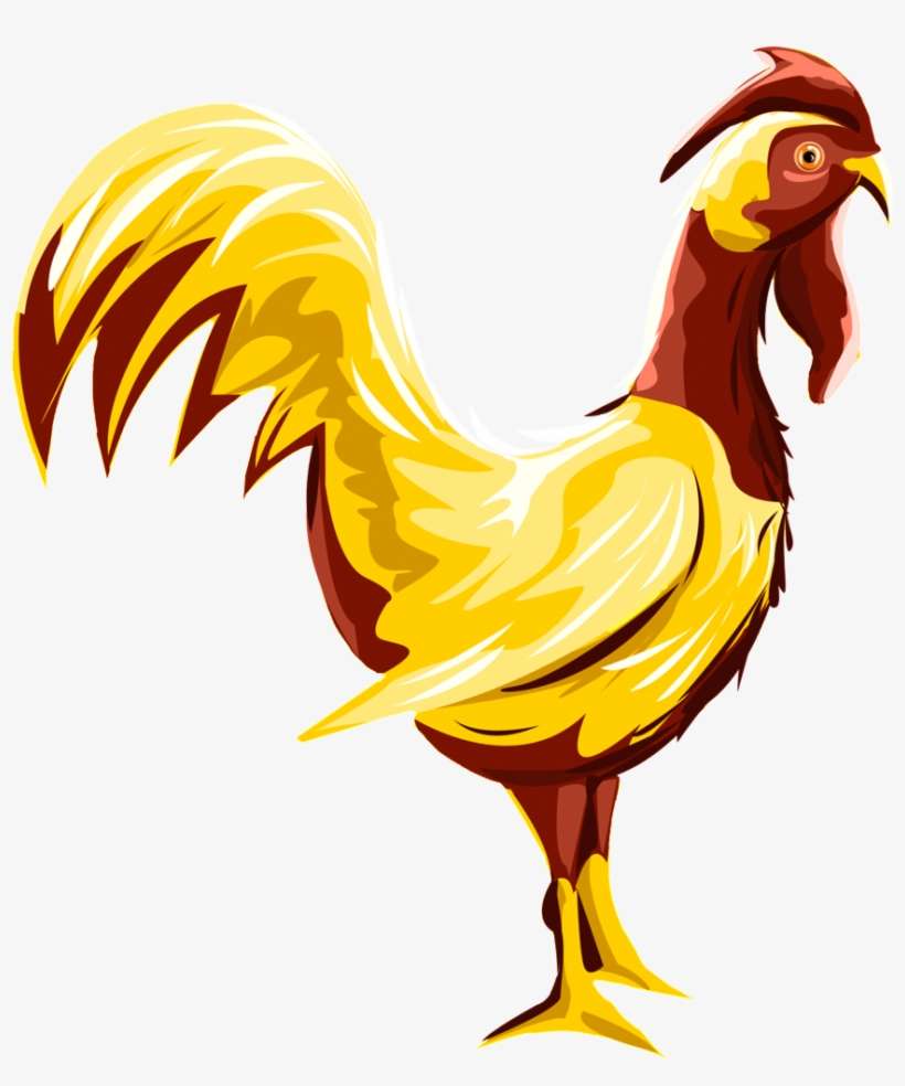Chicken, transparent png download