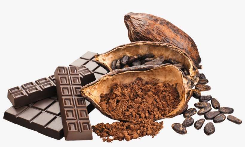 Cacao With Chocolate Png Image - Cacao Png, transparent png download