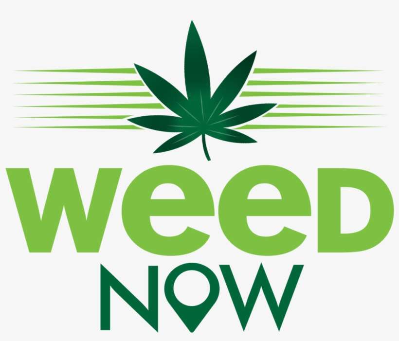 Weed Now Banner Free Stock - Cannabis Logo Png, transparent png download