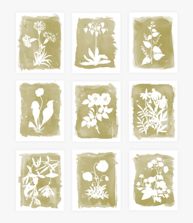 This Cyanotype Inspired Print A Reproduction Of My - Dungeons & Dragons, transparent png download