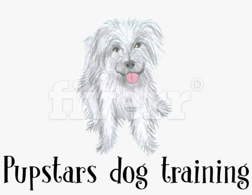 Chinese Crested Dog, transparent png download