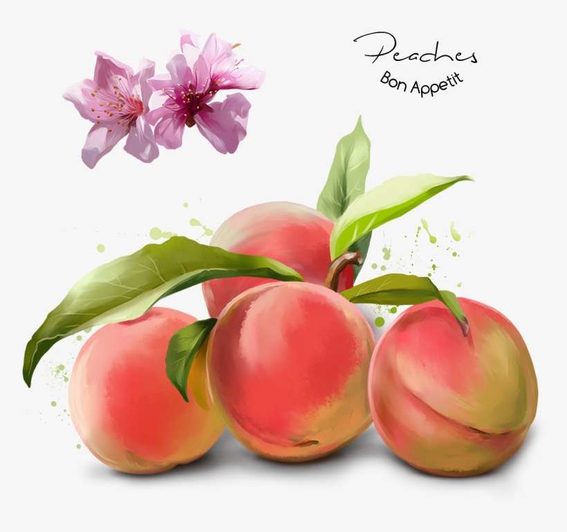 Фотография - Watercolor Painting, transparent png download