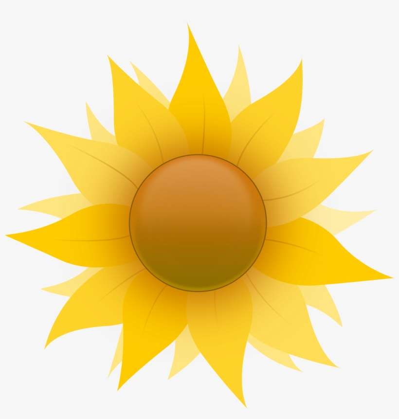 Sunflower - Sunflower Clip Art, transparent png download