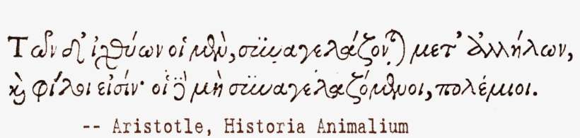 Urban Fantasy Land's Readers' Choice Awards " - Handwriting, transparent png download