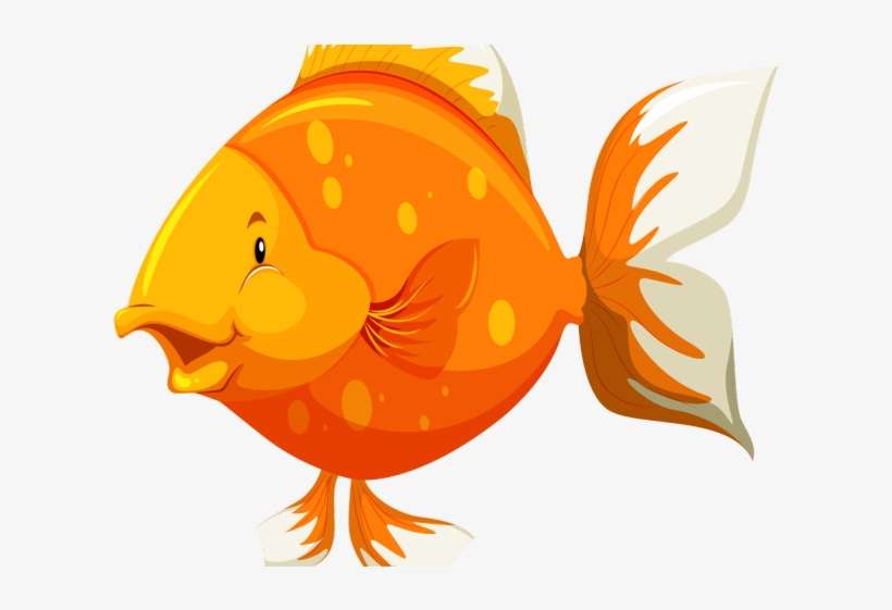 Gold Dead Free On Dumielauxepices Net Under - การ์ตูน ปลา สี ส้ม, transparent png download
