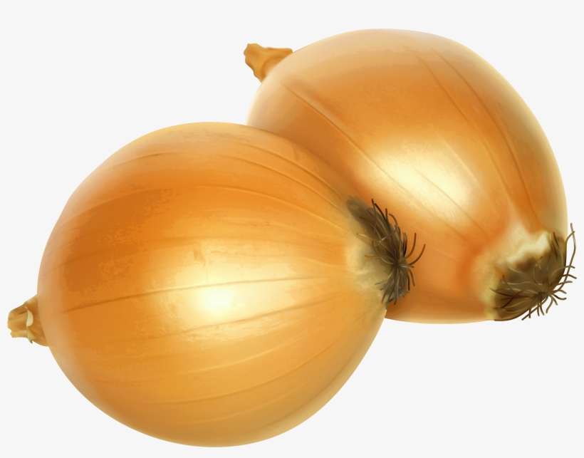 Free Onion Clipart, transparent png download