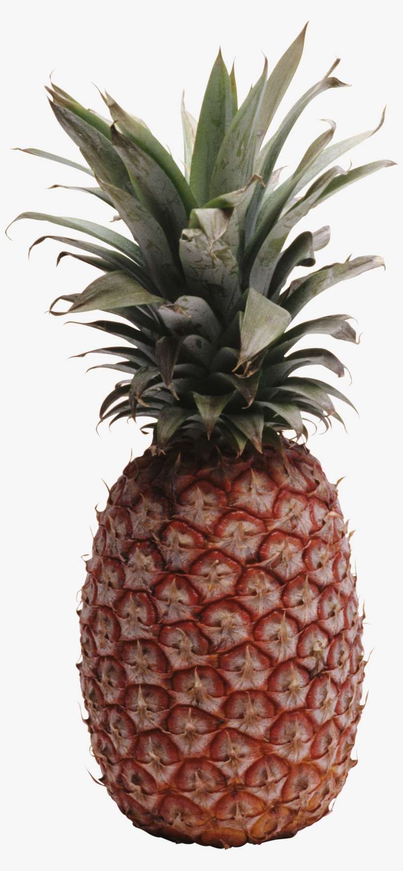 Pineapple Png Image, Free Download - Pineapple No Background, transparent png download
