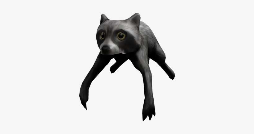 Ridiculous Raccoon - Roblox Raccoon, transparent png download