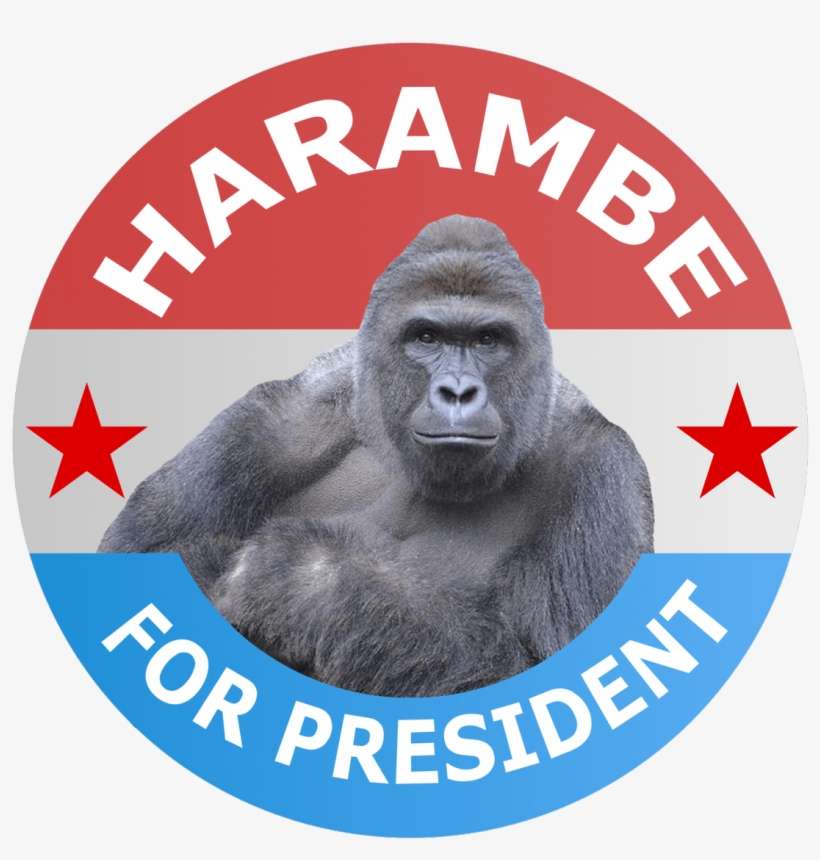 Harambe For President - Harambe Gorilla Collection: Harambe The Gorilla / Dicks, transparent png download