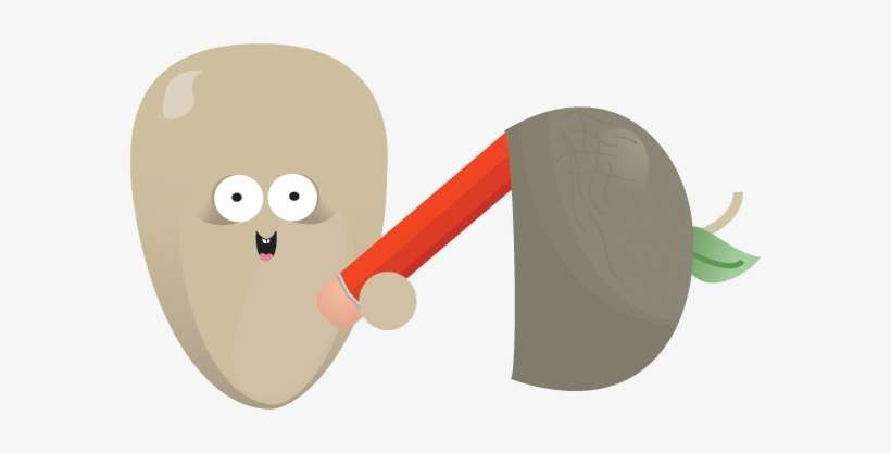 Writing, Pencil, Draw, Write, Pen, Paint, Edit Icon - Pencil, transparent png download