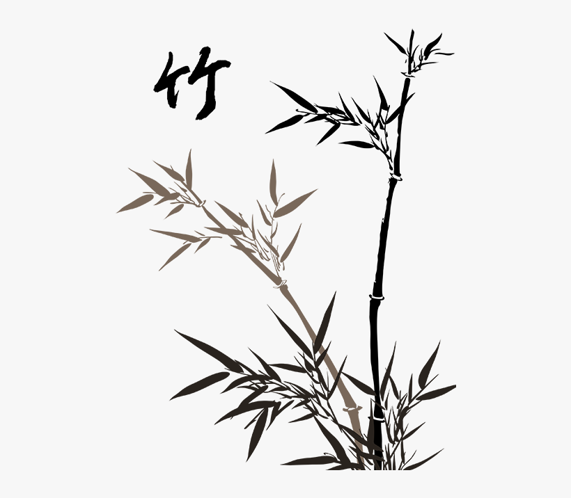 Tumblr Mmfgp5kplq1qc6wuio1 - Bamboo Drawing Png, transparent png download