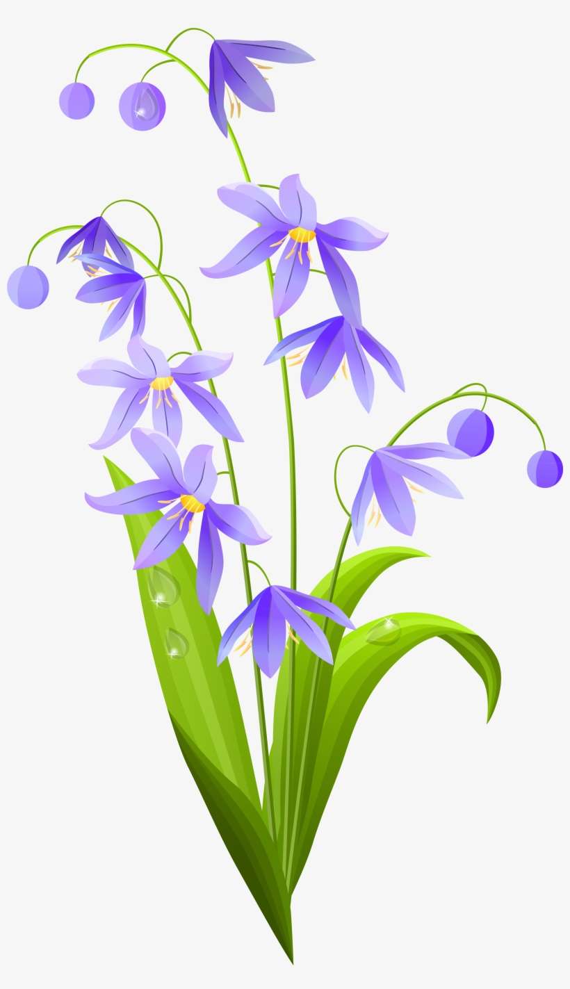 Spring Flower Png, transparent png download