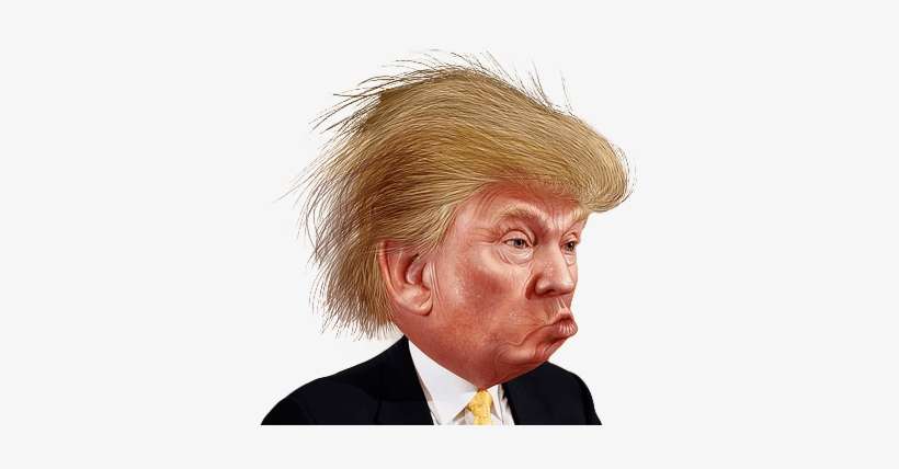 Download Download - Donald Trump Funny Face | Transparent PNG Download ...