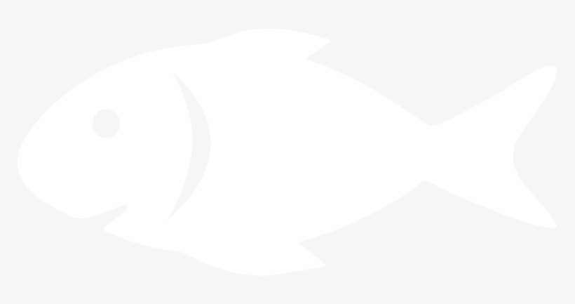 Fish Png - Portable Network Graphics, transparent png download