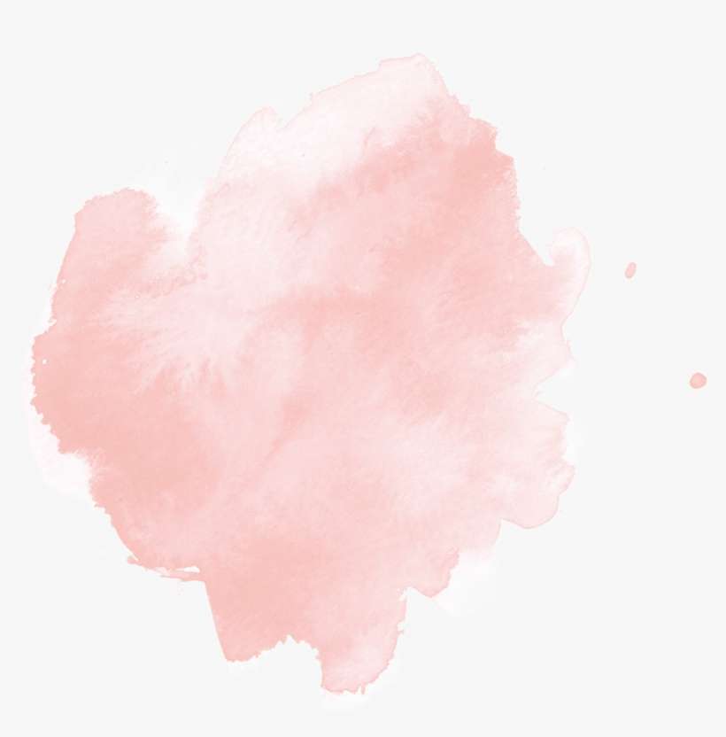 Coral Bells, transparent png download