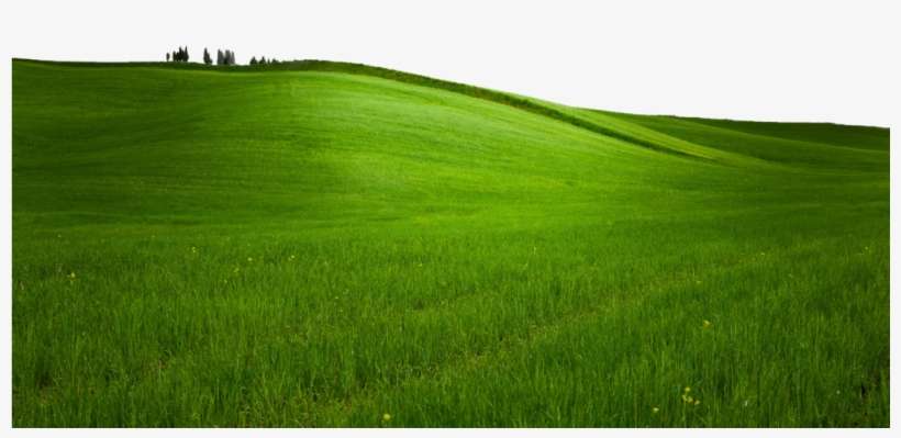 Free Icon, Png Icons, Free Images, Grass, Clip Art, - Portable Network Graphics, transparent png download