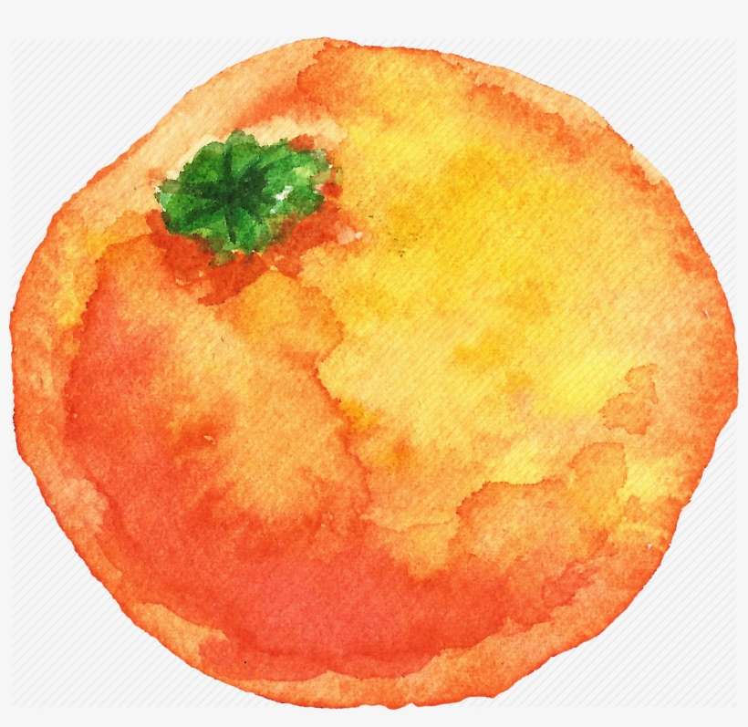 Watercolor Fruits - Orange Fruit Watercolor Png, transparent png download