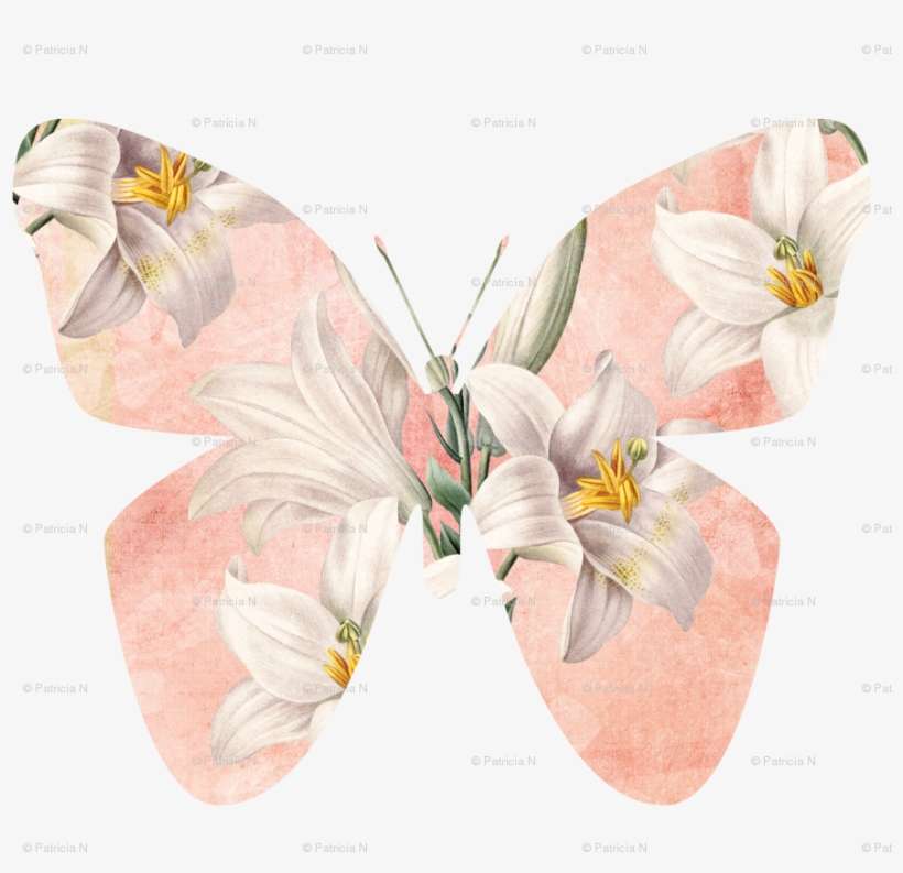 Graphic Royalty Free Library Peach With Lilies Fabric - Lilies Note Cards (pk Of 20), transparent png download