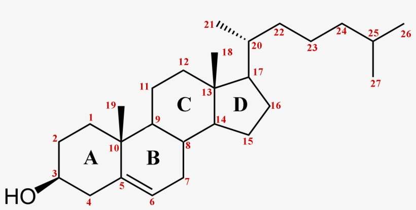 Collana Thug Life Png - Stereocenters In Cholesterol, transparent png download