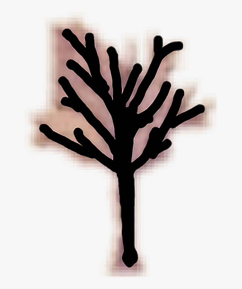 Report Abuse - Xxxtentacion, transparent png download