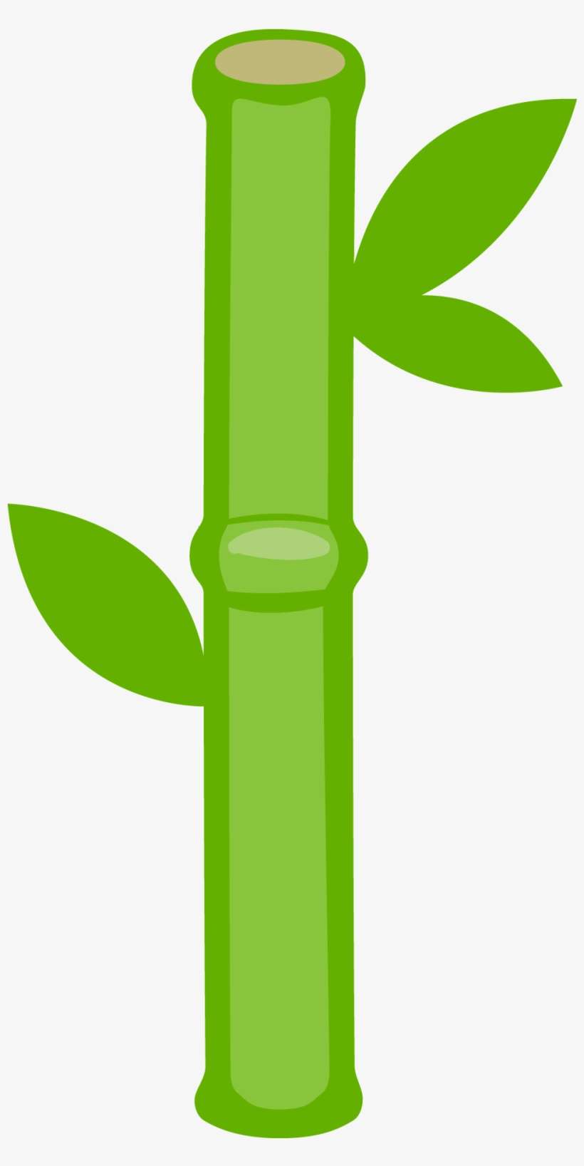 Panda Bear - Cute Bamboo Clipart, transparent png download
