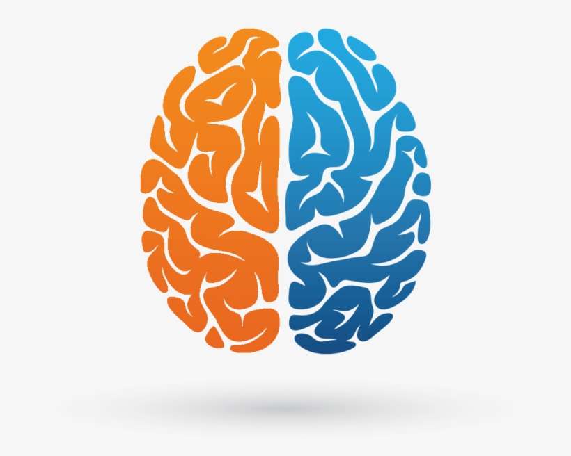 Brain Hemispheres - Das Schöpferische Gehirn: Auf Der Suche Nach Der Kreativität, transparent png download