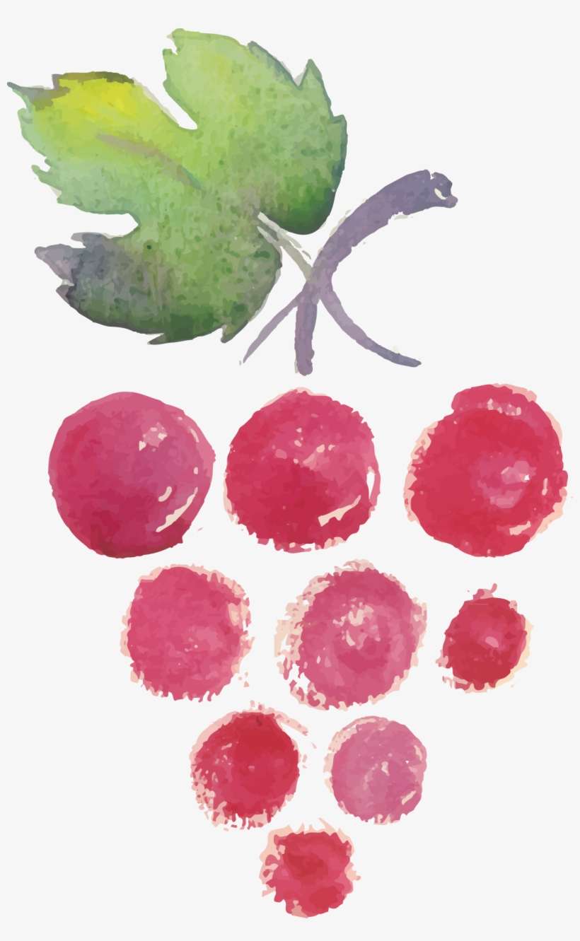 Clip Black And White Library Wine List Painting Drawing - Watercolor Leaf Wine, transparent png download