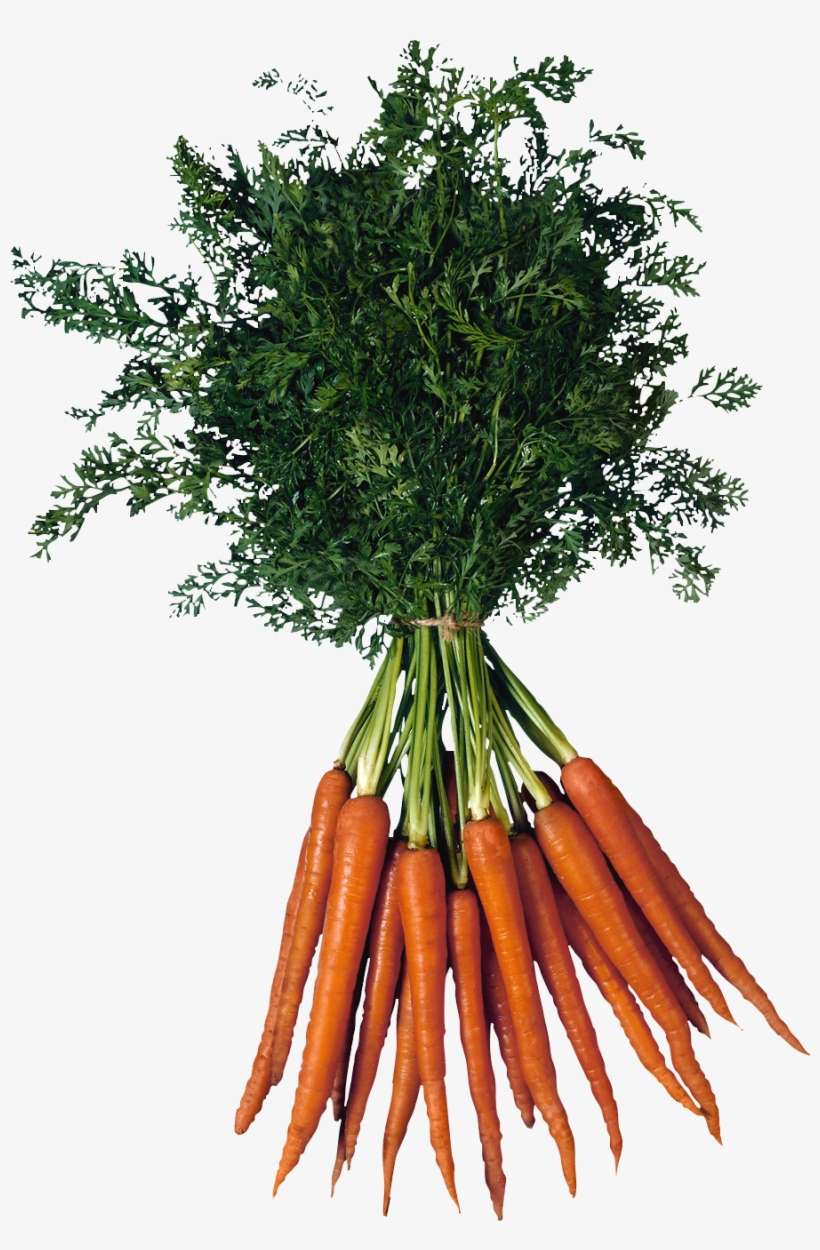 Carrot Png Image - Types Of Vitamins B, transparent png download