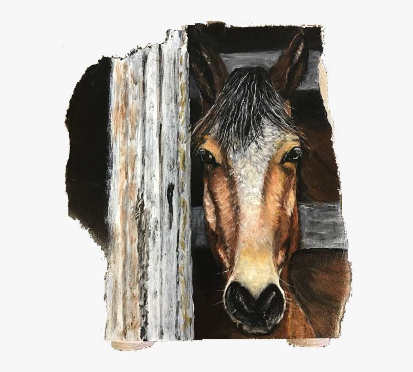 Mustang Horse, transparent png download