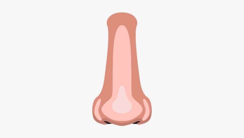 Nose - Illustration, transparent png download