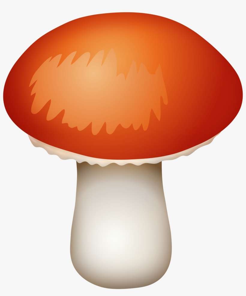 Red Mushroom Png Clipart - Mushroom Png Clip Art, transparent png download