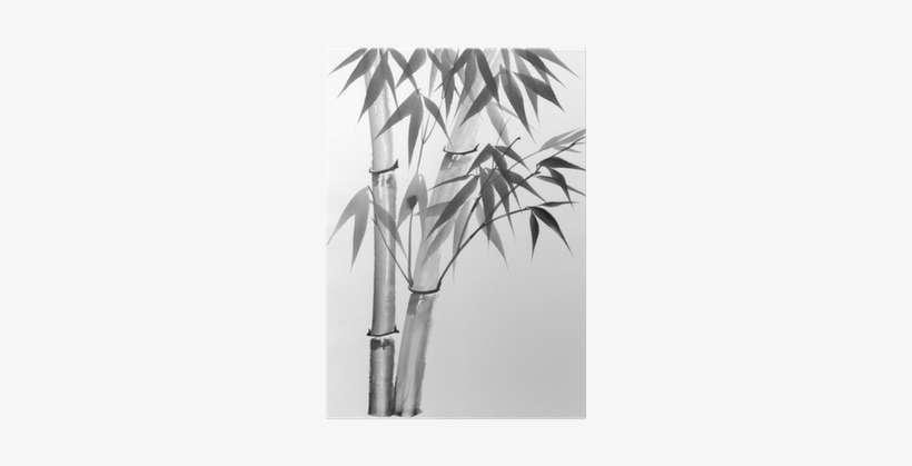 Watercolor Painting Of Bamboo Poster - Watercolor Painting, transparent png download