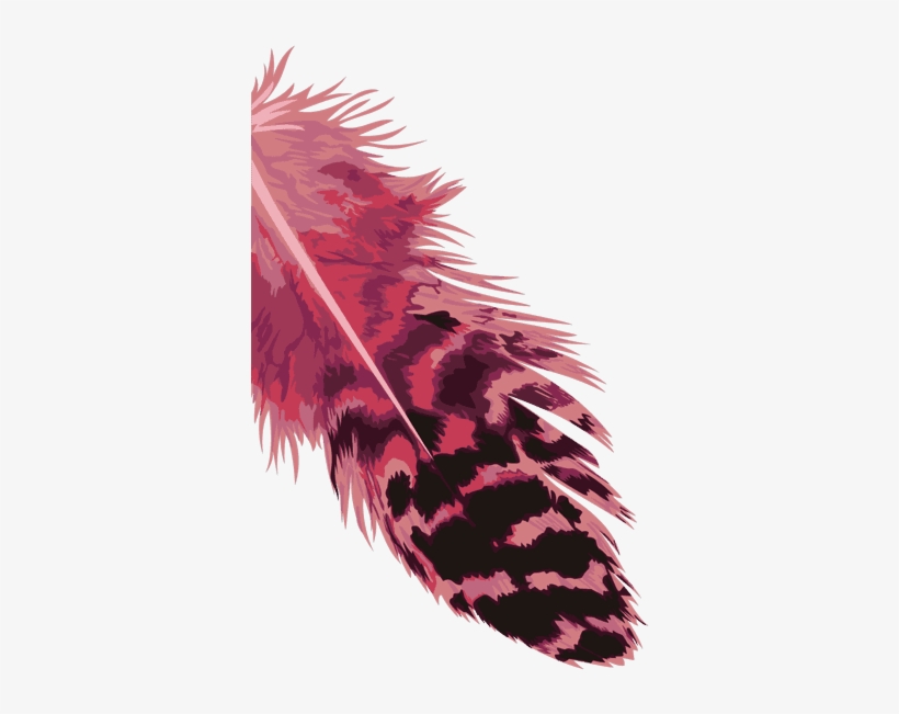 Dark Pink And Black Feather Isolated - Illustration, transparent png download