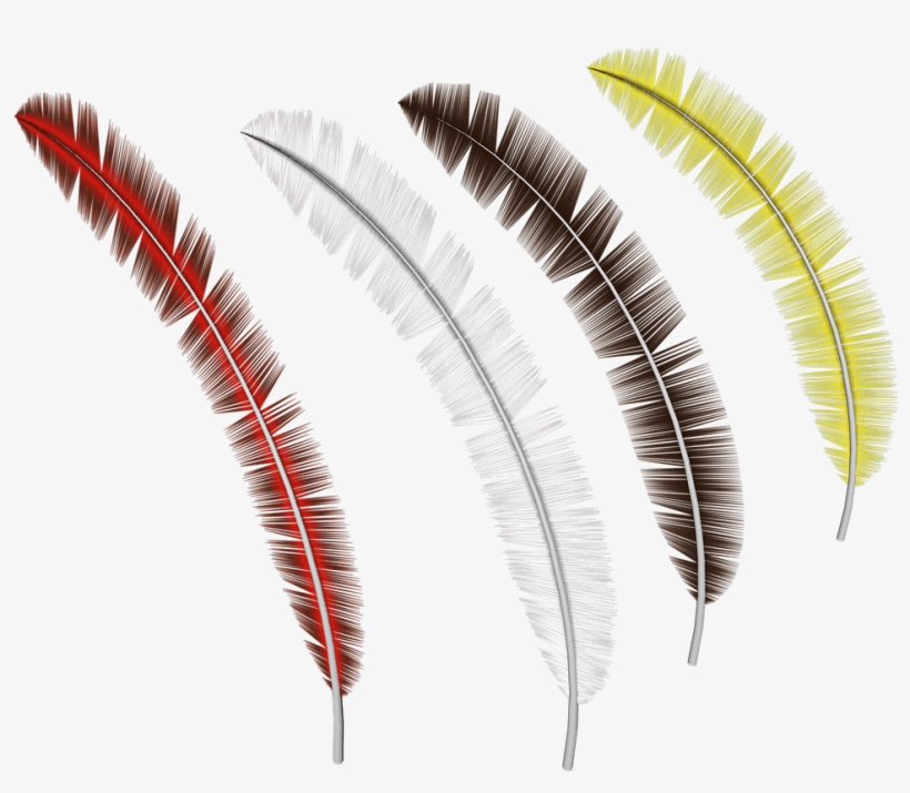 Feathers Collection - Fantasy Pen Png, transparent png download