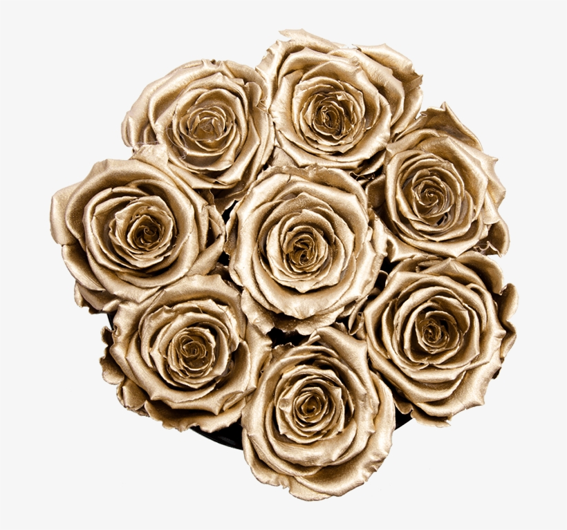 Prev - Garden Roses, transparent png download