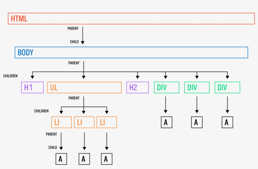 Images/figures/dom - Child, transparent png download