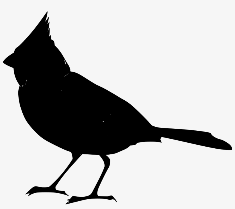 Download Png - Red Cardinal Twin Duvet, transparent png download