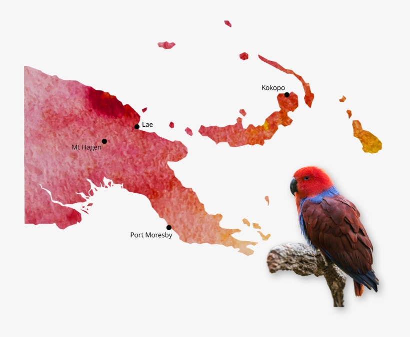 Png-image - Travel Agency, transparent png download