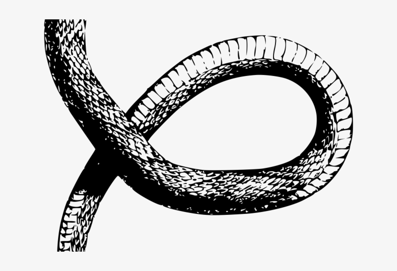 Original - Snake Drawing Transparent, transparent png download