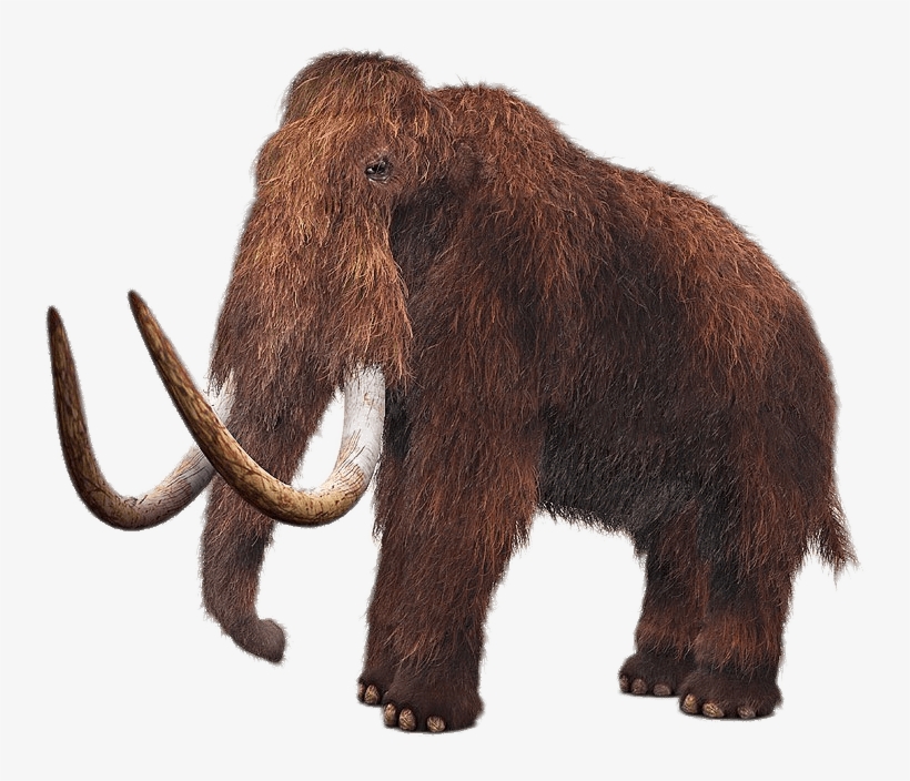 Download - Woolly Mammoth, transparent png download