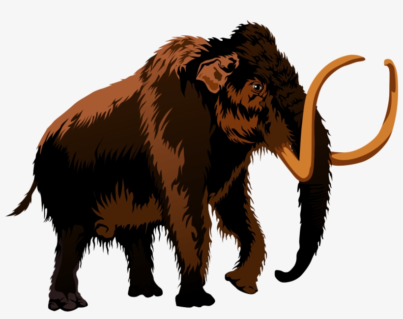 Woolly - Wooly Mammoth Clip Art, transparent png download