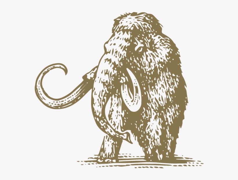 Mammoth - Mammoth Mountain Ski Area, transparent png download